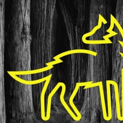 MONTREAL · Le Festival du Nouveau Cinéma